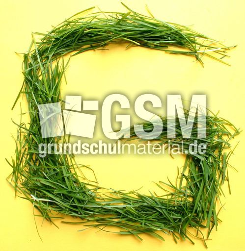 G-wie-Gras.jpg